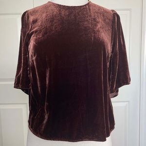 Velvet by Graham & Spencer Rust Colored Velvet Bell-Sleeve Swing Top XS